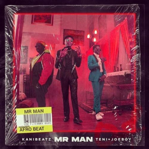 Download Music Mp3: Teni + Joe Boy + Kani Beatz - Mr Man