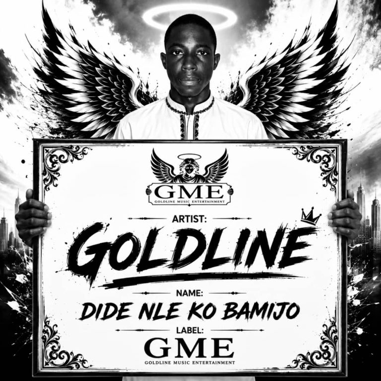 Dide nle kobamijo cover artwork