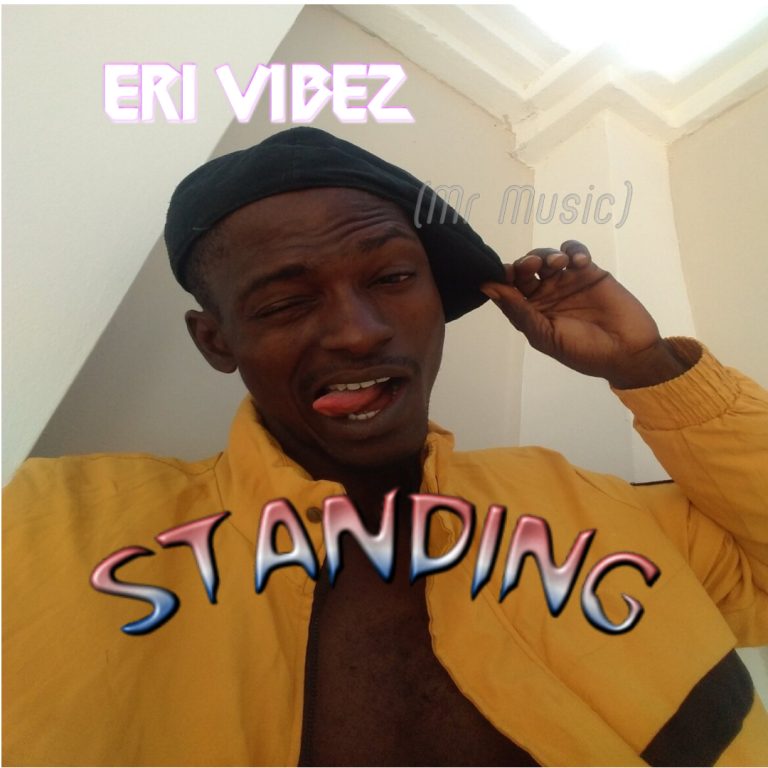 Eri Vibez – Mr music cover artwork