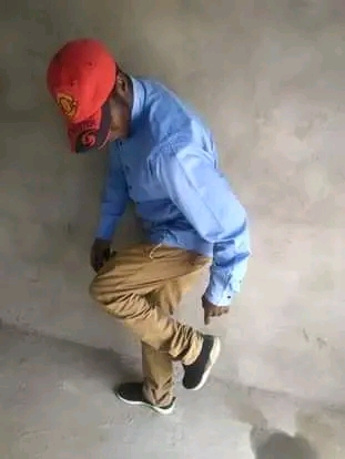 Shake