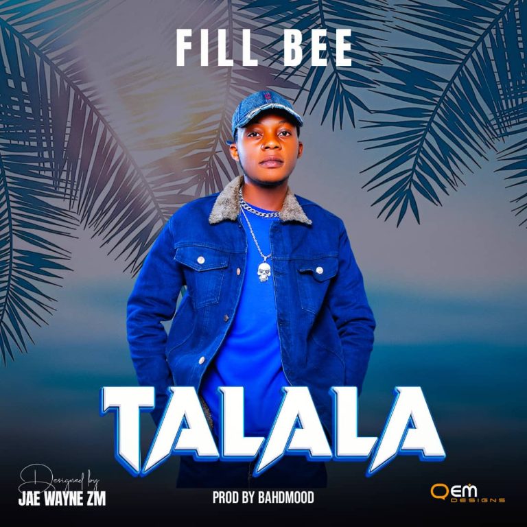 Sai zee zm – Sai zee cover artwork