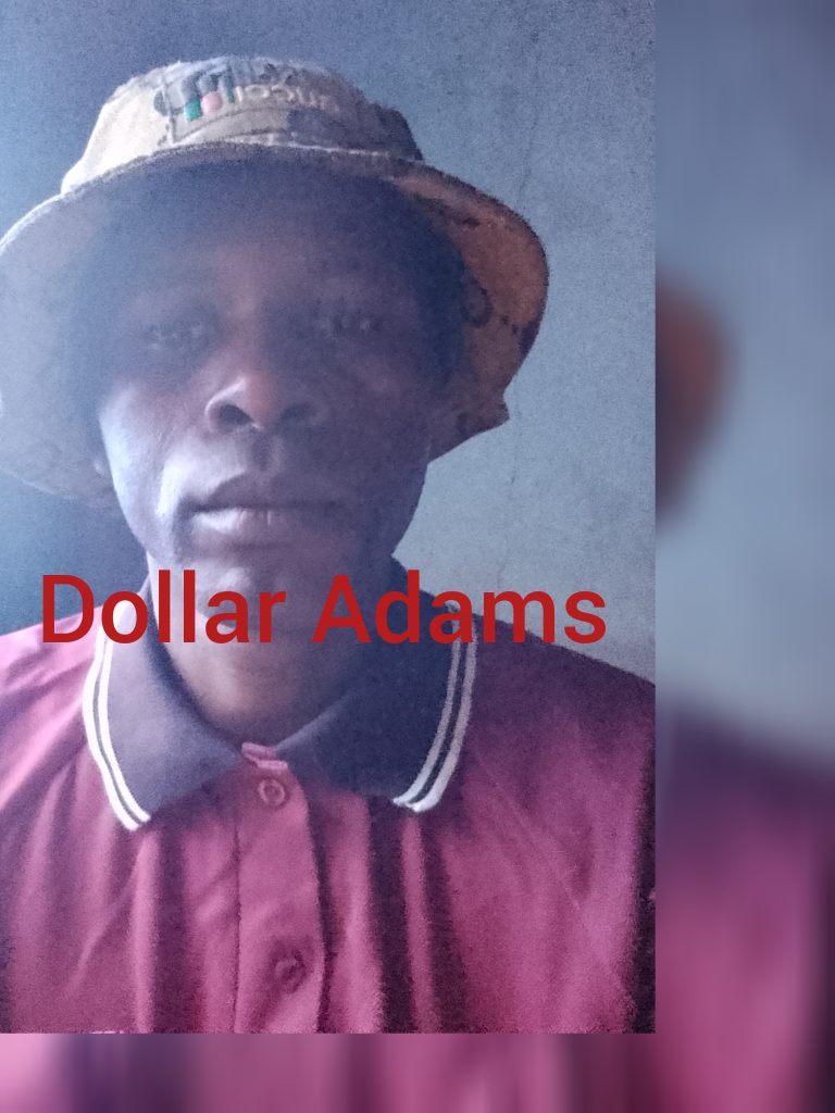 __new__ – Gamba renyika _Dollar Adams+263773103823 cover artwork