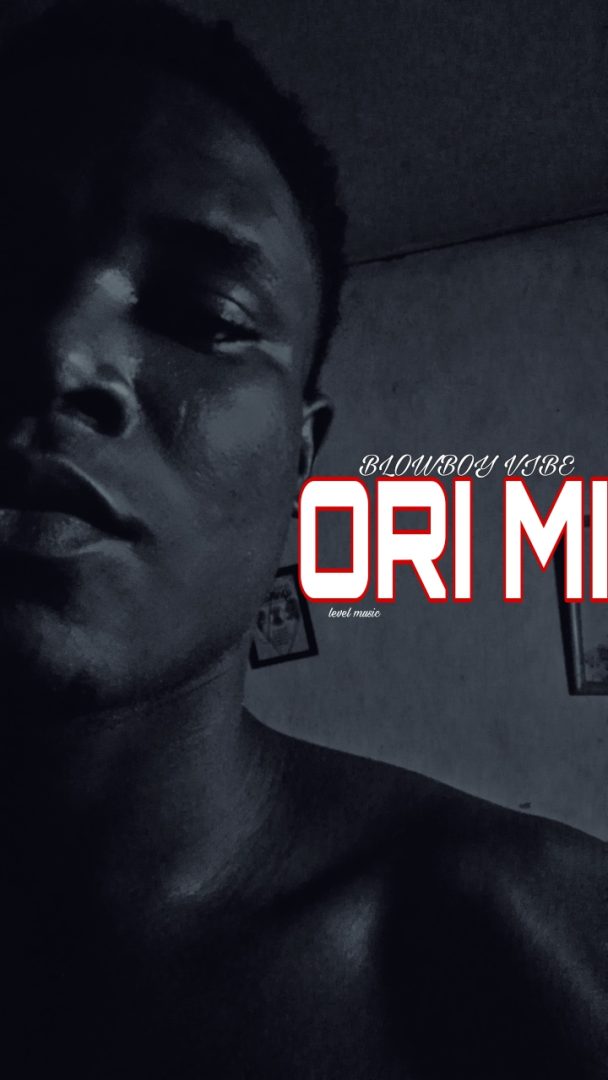 ORI – MI by BLOWBOY VIBE cover artwork