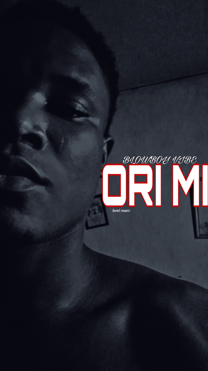 BLOWBOY VIBE – BLOWBOY VIBE _ORI_MI cover artwork