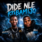 Bella frosh – Dide nle kobamijo file_00000000dd488210b8fc9753d78fa982