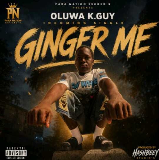 Party by Oluwa k guy cover artwork