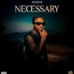 solidstar necessary artwork