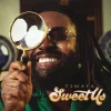 sweet us artcover